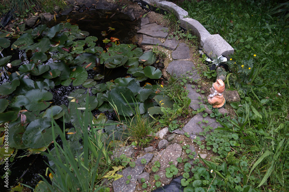 Small ornamental pond on the plot of land Small ornamental pond on the plot of land