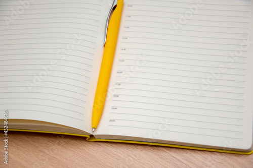 A fountain pen on the background of the spread of the diary.