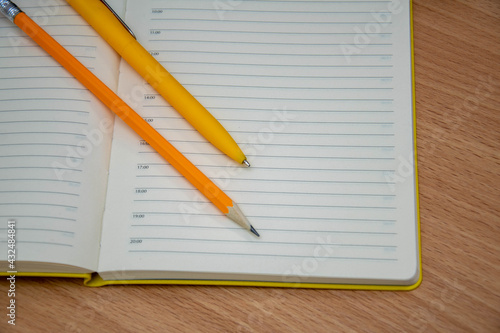 Pen and pencil on the pages of the diary.