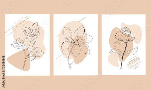 Set of abstract illustrations. Abstract shapes and botanical plants. Abstract paintings