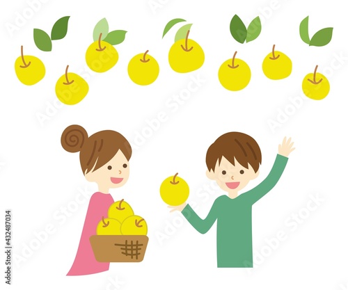 梨狩りをする子供たち