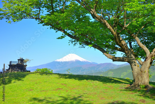 富士山 大野山　神奈川県山北町の風景 