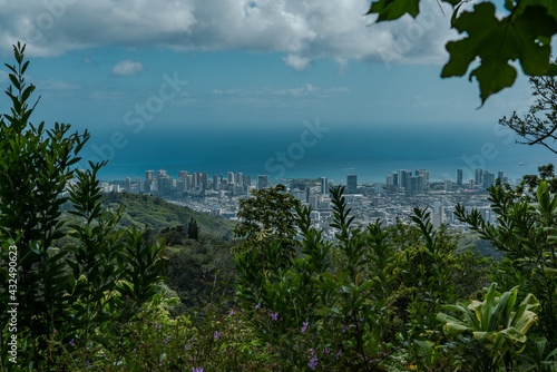 See the city and the sea from the forest, Tantalus, Honolulu, Oahu, Hawaii. Puu Ohia Trail