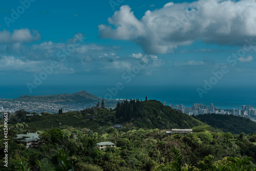 See the city and the sea from the forest, Tantalus, Honolulu, Oahu, Hawaii. Puu Ohia Trail