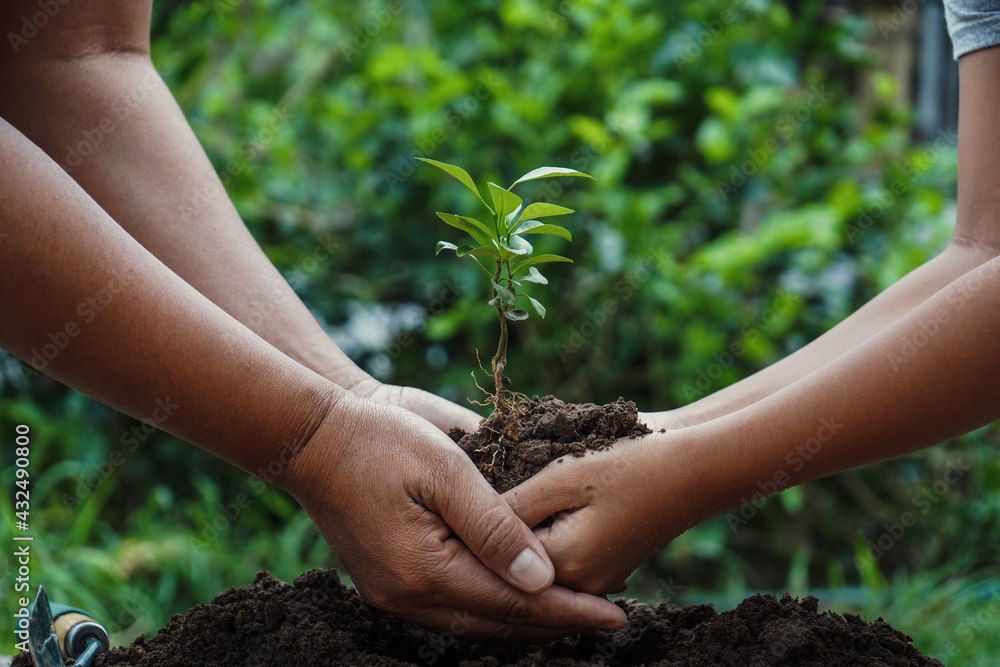 women helrp to plant tree concept to reduce global warming Stock Photo