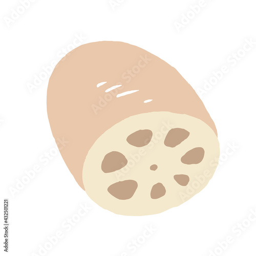 食べ物_食材_野菜_れんこん_線無し