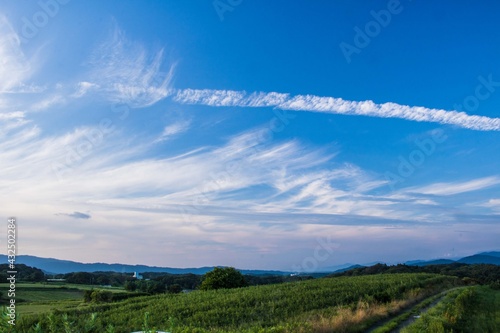 青い空の中に浮かぶ一筋の飛行機雲