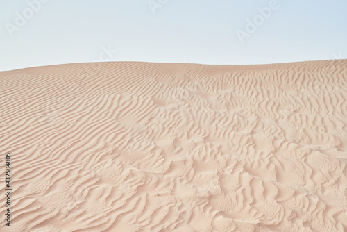 yellow sand dunes in the Abu Dhabi desert © Igor