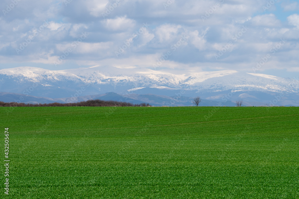 Panoramic view of fresh green meadows and snowy mountains in the background on a beautiful spring day. Panoramic view of fresh green meadows and snowy mountains in the background on a beautiful spring day.