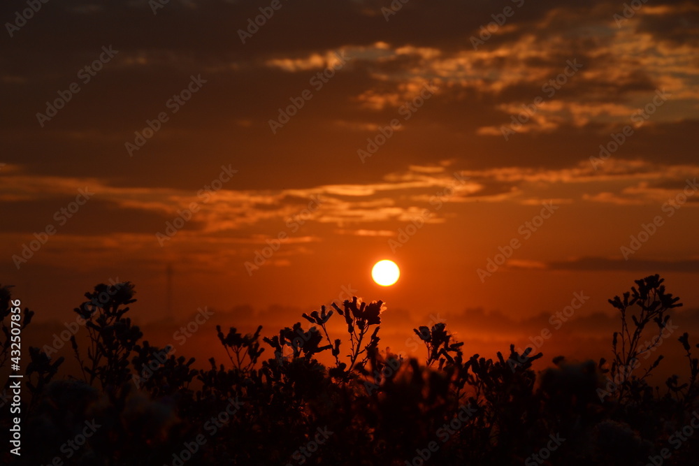 Obraz premium august