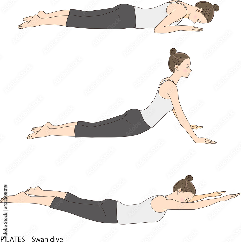 Pilates Sequence, Swan Dive Stock Vector