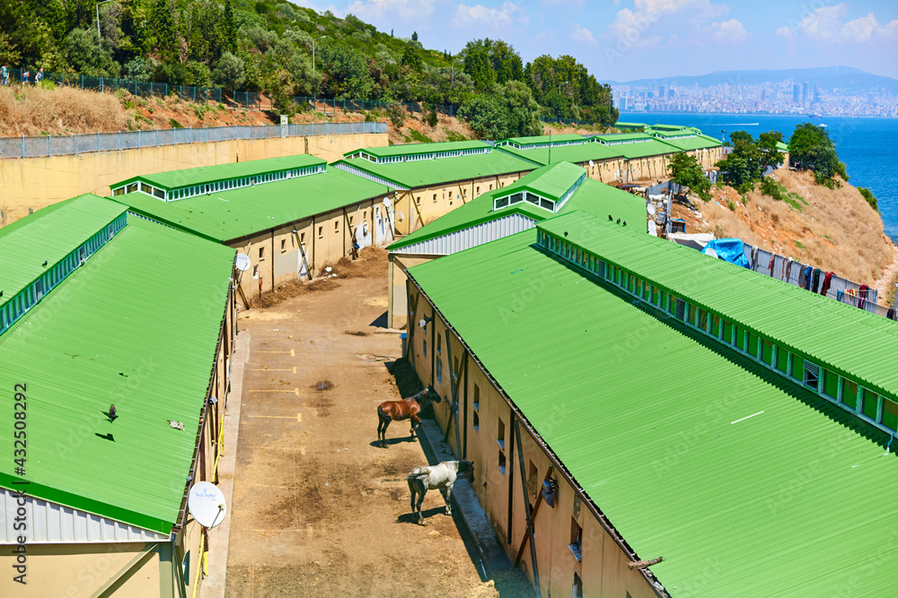 Fototapeta premium Stables on the island of Buyukada overlooking the sea