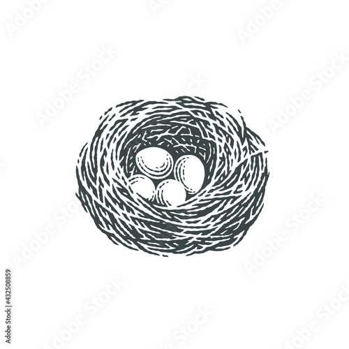 Forest, farm, chicken, bird nest with four eggs into it.
Hand drawn etched style vector illustration.