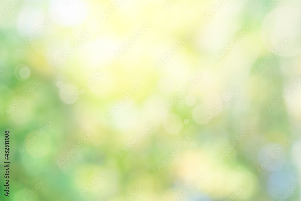 Nature bokeh blur abstract background with sunlight and green tree