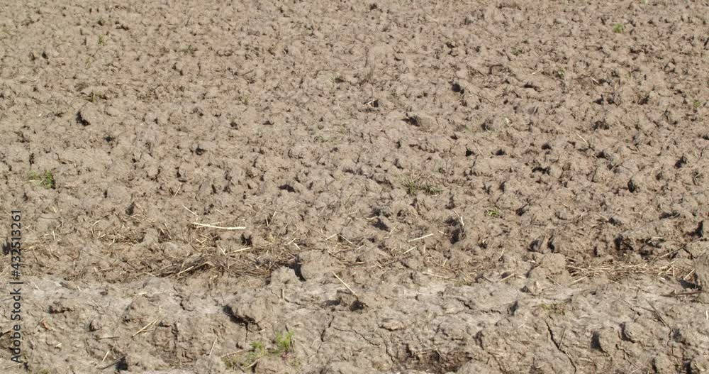 Plowed agricultural land. close up of a black agricultural field. Agriculture fertile land Plowed agricultural land. close up of a black agricultural field. Agriculture fertile land