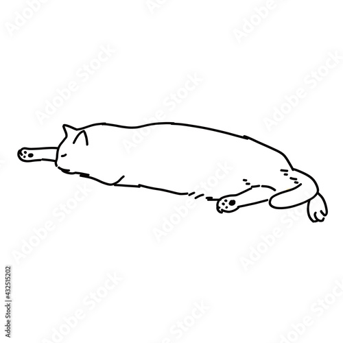 猫の線画全身イラスト　眠っている猫