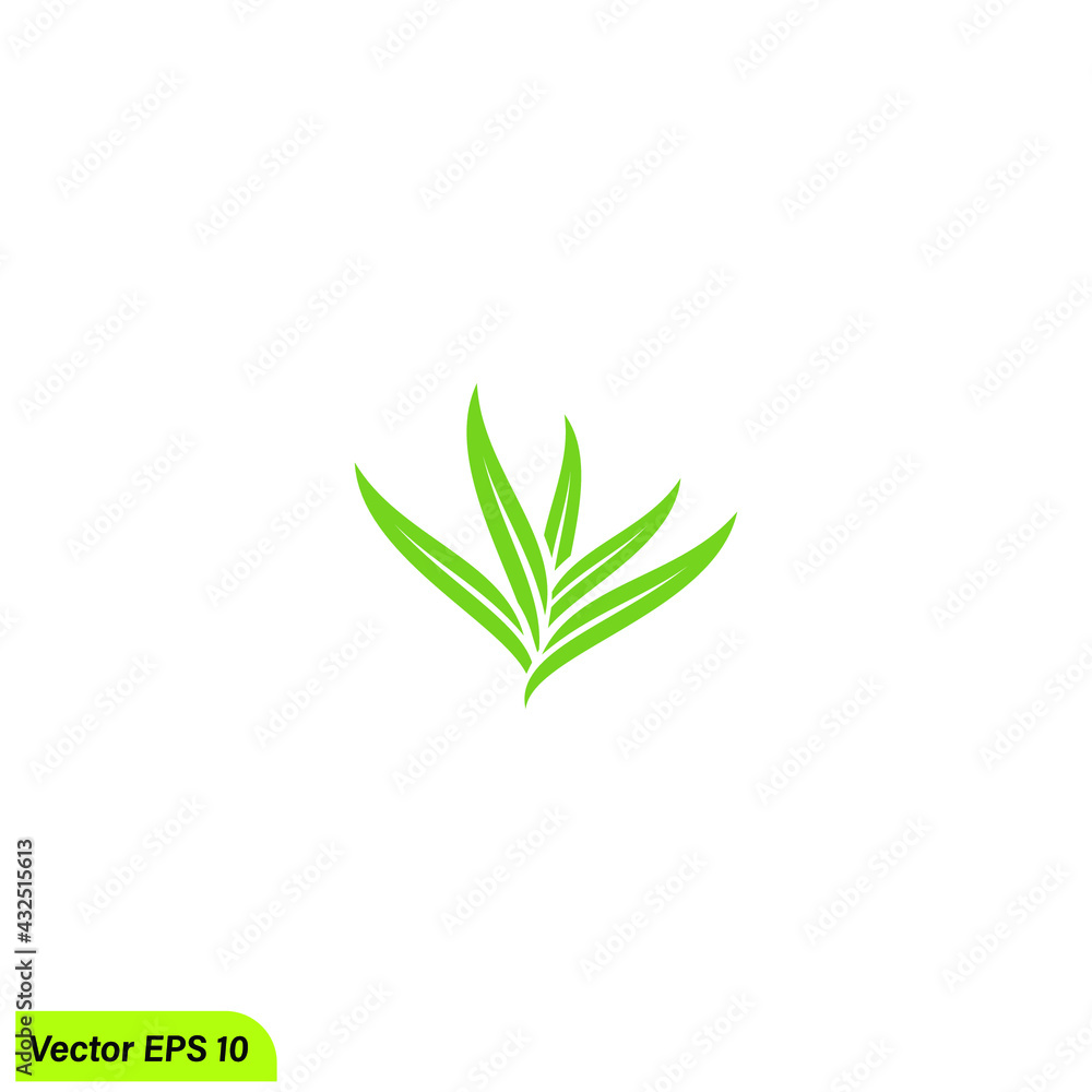 Fototapeta premium leaf icon symbol