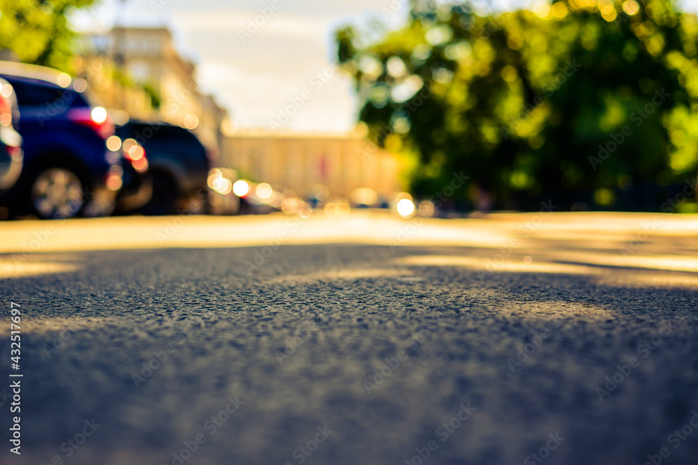 Summer in the city, the empty street with trees in a park. Close up view from the asphalt level Summer in the city, the empty street with trees in a park. Close up view from the asphalt level