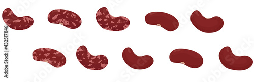 Kidney red beans isolated on white. Vector flat legumes vegetable design illustration.