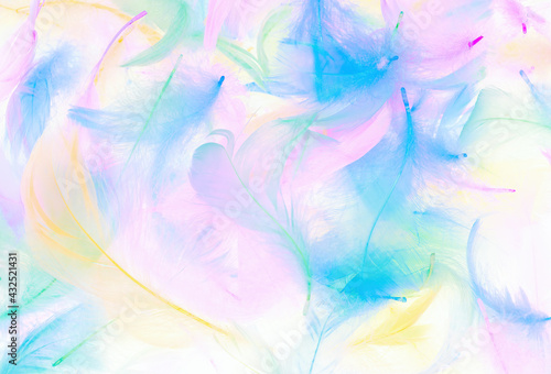 Colorful feathers On a white background