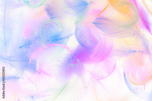Colorful feathers On a white background