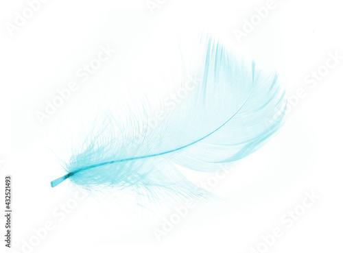 Colorful feathers On a white background