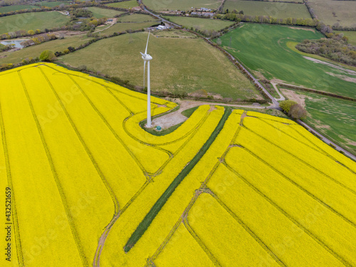 rapeseed and wind turbine Cornwall England uk 