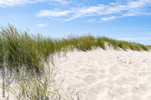 Fototapeta Naklejka Na Ścianę i Meble -  Sand dunes with dune grass on a sunny day