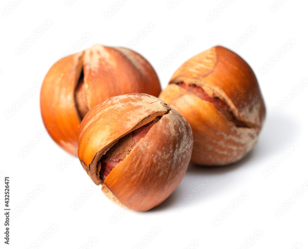 whole hazelnuts isolated on white background whole hazelnuts isolated on white background