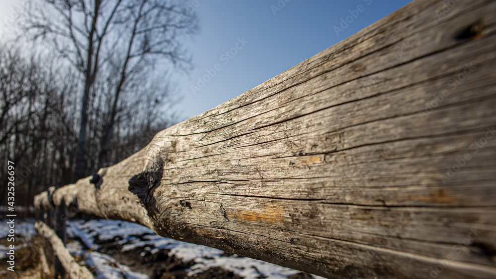 Wooden fence against the background of silhouettes of trees on a sunny day.