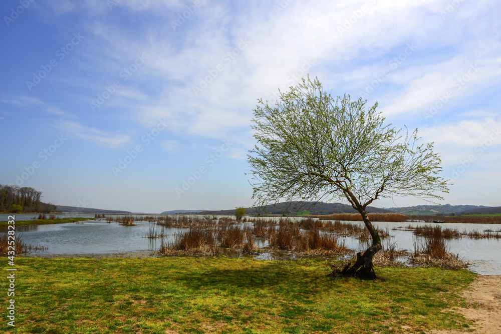 lake view in spring, reflections in the lake. Terkos lake. lake view in spring, reflections in the lake. Terkos lake.