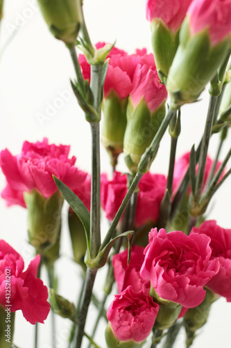 bouquet of bright pink carnation flowers