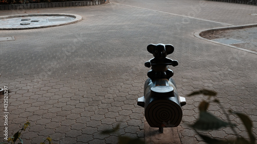 Canvas Print コアラ