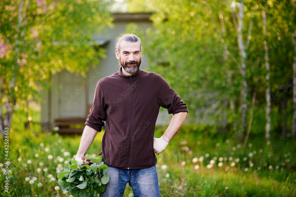 A smiling mid adult farmer with a bunch of cabbage sprouts in his hands standing against the juicy spring foliage. Spring work in the garden, transplanting seedlings into the beds.