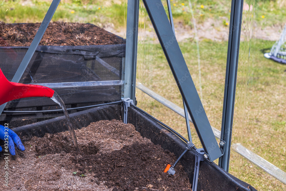Close up view of watering hole for planting of paprika seedling. Sweden. Close up view of watering hole for planting of paprika seedling. Sweden.
