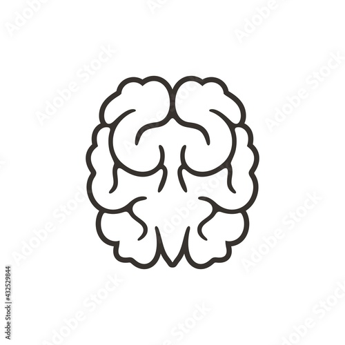 Walnut outline. Isolated walnut on white background