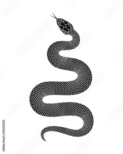 Snake logo. Isolated snake on white background