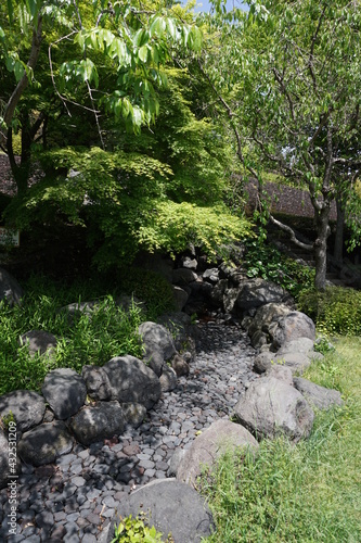 初夏の日差しと新緑