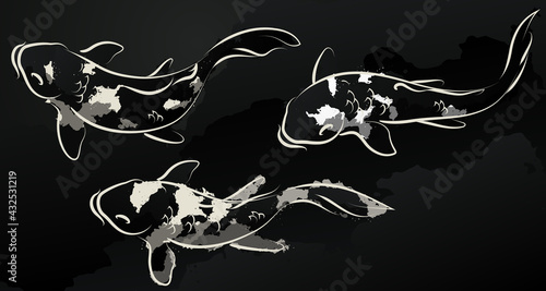 Set of Japanese koi. Vector illustration.
