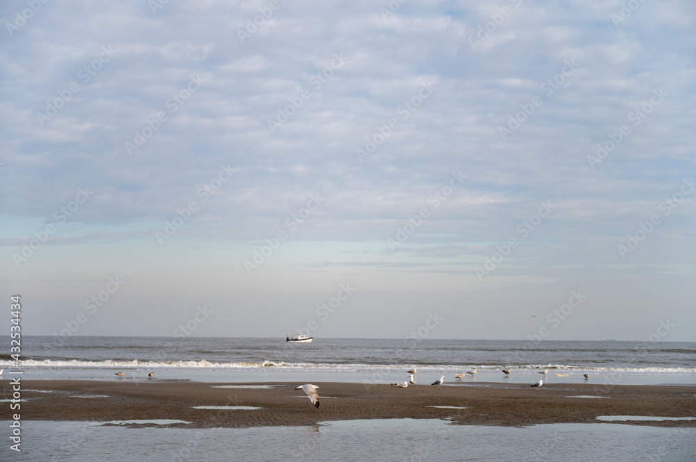 Low tide period on yellow sandy beach in small Belgian town De Haan or Le Coq sur mer, luxury vacation destination, summer holidays Low tide period on yellow sandy beach in small Belgian town De Haan or Le Coq sur mer, luxury vacation destination, summer holidays
