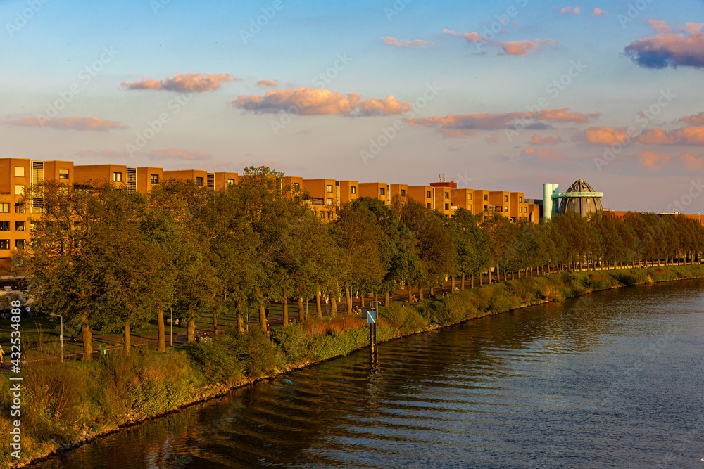 Row of trees and flats covered by the golden colours of the sun during sunset alongside the waterfront of the river Meuse in Maastricht. The sun reflects the river quay in the water