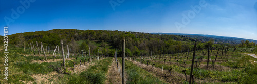 Allassac  Corr  ze  France  - La Chartroulle - Vue panoramique des vignobles dominant la vall  e de la V  z  re