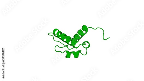 360º realistic 3D rendering of an animated biological molecule over a white background with alpha mask.  Solution structure of the FF domain of human Formin-binding protein 3
