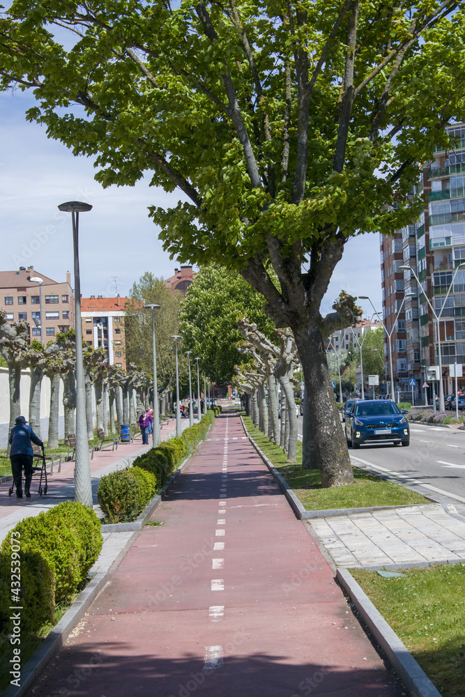 Paseo urbano con carril bici y arboleda