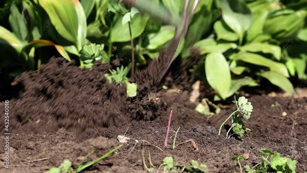 The garden work with a hoe on a flower-bed with flying soil from digging, slow motion. The garden work with a hoe on a flower-bed with flying soil from digging, slow motion.