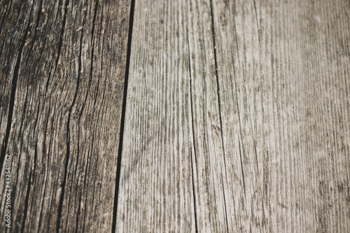 rustic wood texture, old wood texture with natural factors in nature, background.