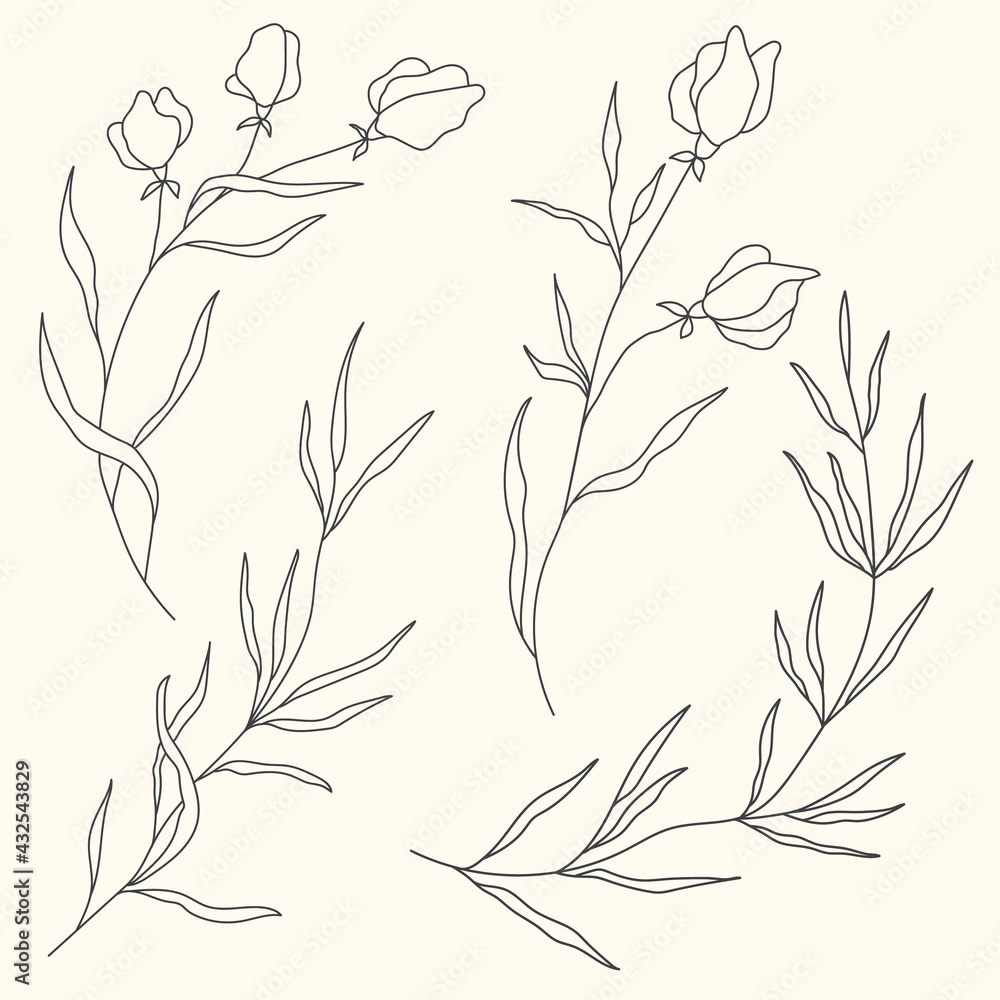 Fototapeta premium Vector line flower isolated. Element for design. Hand-drawn contour lines and strokes.
