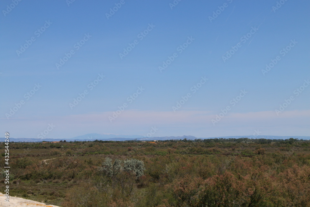 Beauduc Camargue Beauduc Camargue