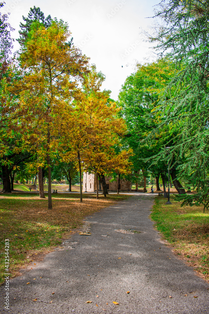 autumn in the park