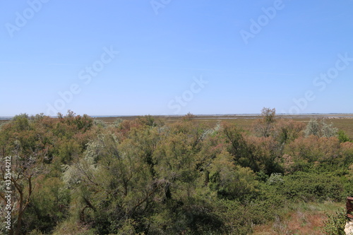 Beauduc Camargue